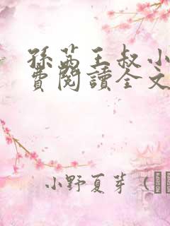 孙茜王叔小说免费阅读全文最新章节