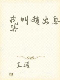 我叫赵出息12集