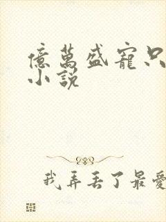 亿万盛宠只为你小说