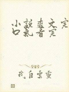 小说爽文完结一口气看完