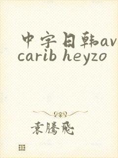 中字日韩av carib heyzo