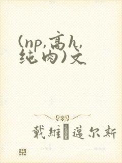 (np,高h,纯肉)文