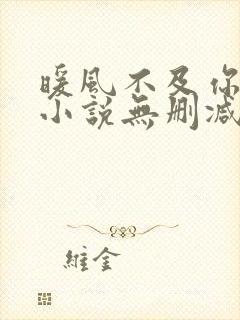 暖风不及你情深小说无删减正版在线阅读