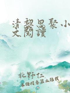 清黎思聚小说全文阅读