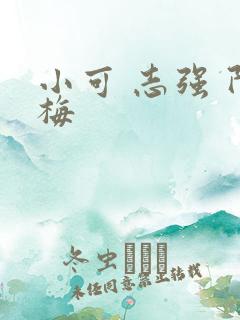 小可 志强 阿梅