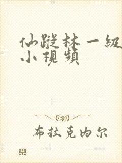 仙踪林一级黄色小视频