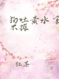 狗吐黄水 食欲不振