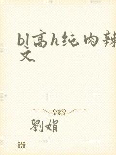 bl高h纯肉辣文