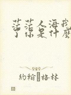 茫茫人海我遇见了你是什么歌名