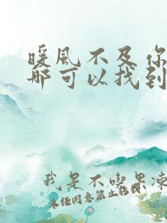 暖风不及你情深哪可以找到