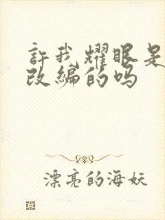 许我耀眼是小说改编的吗