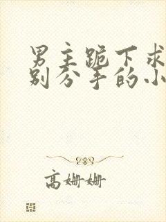 男主跪下求女主别分手的小说