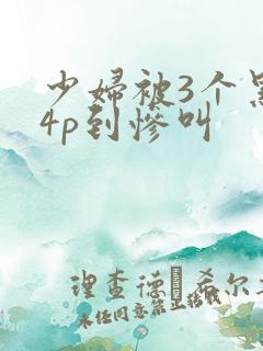 少妇被3个黑人4p到惨叫