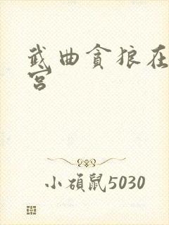 武曲贪狼在子女宫