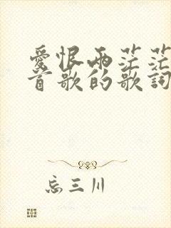 爱恨两茫茫是哪首歌的歌词