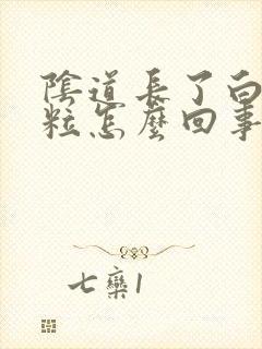 阴道长了白色肉粒怎么回事