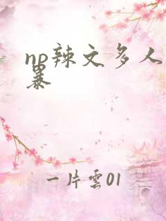 np辣文多人强暴
