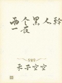 两个黑人干了我一夜