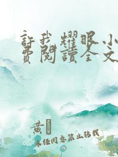 许我耀眼小说免费阅读全文最新章节