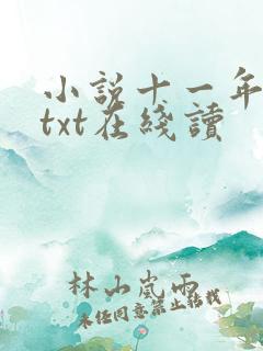 小说十一年夏至txt在线读