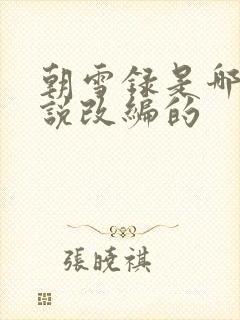 朝雪录是哪个小说改编的