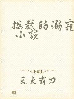 总裁的溺宠甜妻 小说