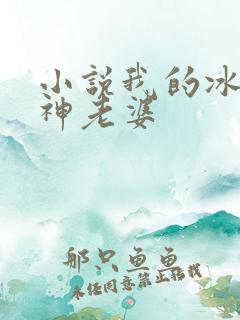 小说我的冰山女神老婆