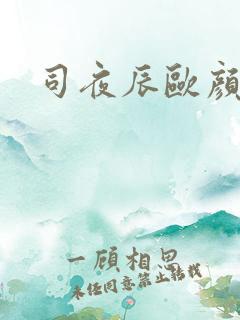 司夜辰欧颜
