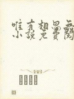 唯有相思无尽处小说免费阅读