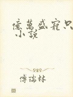 亿万盛宠只为你 小说