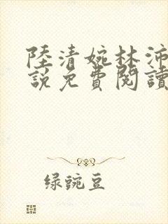 陆清婉林沛琛小说免费阅读最新章节