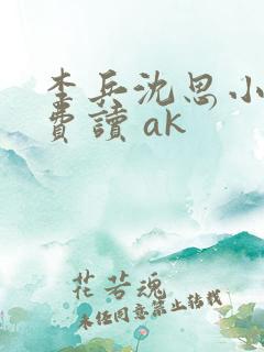 李兵沈思小说免费读 ak