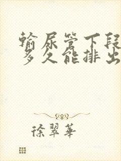 输尿管下段结石多久能排出