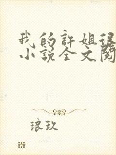 我的许姐很温柔小说全文阅读