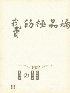 我的极品娇妻免费