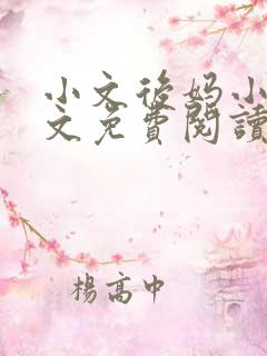 小文后妈小说全文免费阅读最新章节