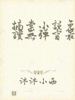 摘棠小说免费阅读无弹窗最新章节