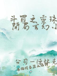 斗罗之灵珠神剑 开局玄幻小猪