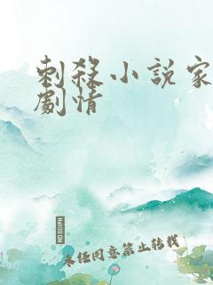 刺杀小说家大概剧情