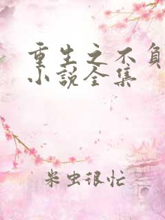 重生之不负韶华小说全集