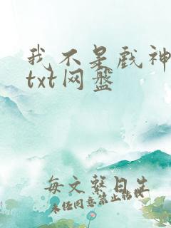 我不是戏神小说txt网盘
