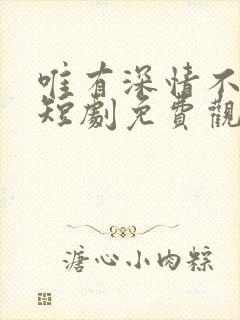 唯有深情不可负短剧免费观看