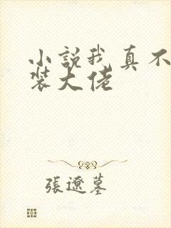 小说我真不是女装大佬