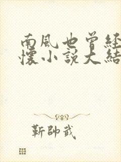 南风也曾经入我怀小说大结局