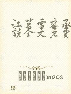 江茗雪容承洲小说全文免费阅读