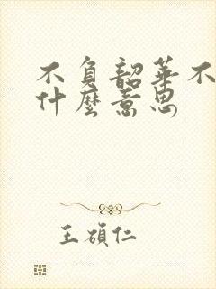 不负韶华不负卿什么意思