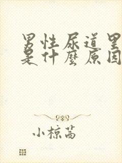 男性尿道里面痒是什么原因引起的