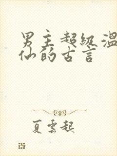 男主超级温柔谪仙的古言