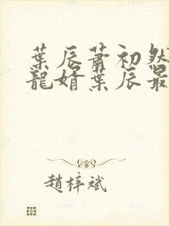 叶辰萧初然上门龙婿叶辰最新章节