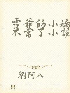 霍爷的小娇妻我不当了小说阅读全文